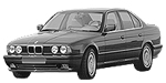 BMW E34 P1222 Fault Code